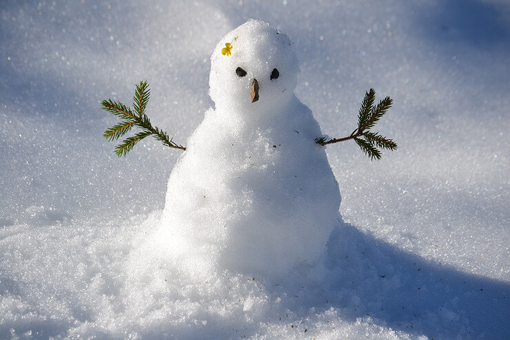 Kleiner Schneemann mit Blümchen